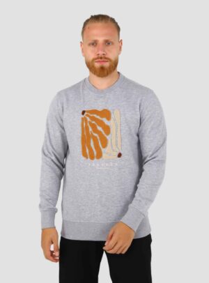 Sweatshirt Col Rond  Brodé Fantaisie - Gris