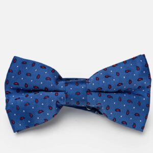 Nœud Papillon à Motif Paisley - Bleu
